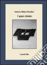 I passi dentro libro