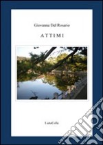 Attimi libro