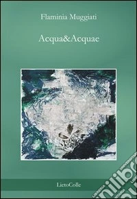 Acqua&acquae libro