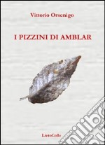 I pizzini di Amblar libro