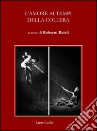 L'amore ai tempi della collera libro