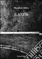 Il solito libro