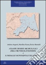 Atlante dei beni archeologici della provincia di Ravenna. Vol. 1: Il paesaggio monumentale del Medioevo libro