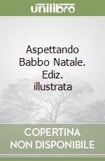 Aspettando Babbo Natale. Ediz. illustrata libro