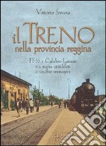 Il treno nella provincia reggina. FFSS e calabro-lucane tra storia, aneddoti e vecchie immagini