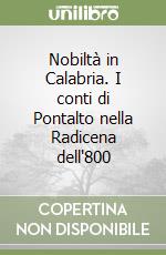 Nobiltà in Calabria. I conti di Pontalto nella Radicena dell'800 libro