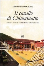 Il cavallo di Chiuminatto. Strade e storie di Sant'Eufemia d'Aspromonte libro