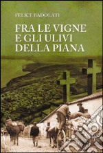 Fra le vigne e gli ulivi della piana