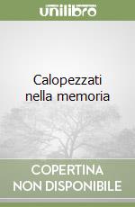 Calopezzati nella memoria libro