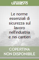 Le norme essenziali di sicurezza sul lavoro nell'industria e nei cantieri libro