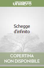 Schegge d'infinito libro