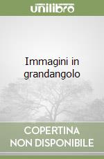 Immagini in grandangolo libro