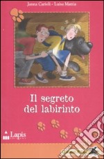 Il Segreto del labirinto libro