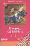 Il Segreto del labirinto libro