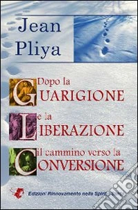 Dopo la guarigione e la liberazione il cammino verso la conversione libro