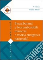 Biocarburanti e biocombustibili. Minaccia o risorsa energetica nazionale?