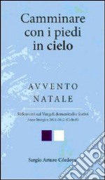 Camminare con i piedi in cielo. Avvento Natale. Riflessioni sui Vangeli domenicali e festivi libro