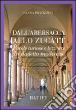 Dall'abersacca allo zucatt. Parole curiose e bizzarre del dialetto modenese libro