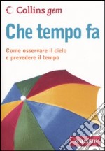 Che tempo fa. Ediz. illustrata libro