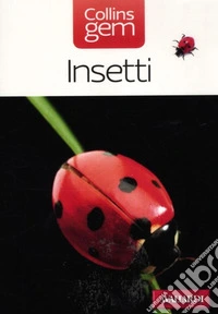 Insetti