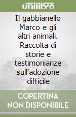 Il gabbianello Marco e gli altri animali. Raccolta di storie e testimonianze sull'adozione difficile libro