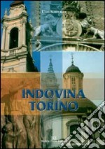 Indovina Torino libro