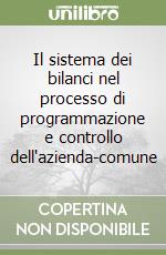 Il sistema dei bilanci nel processo di programmazione e controllo dell'azienda-comune libro