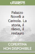 Palazzo Novelli a Carinola. La storia, il rilievo, il restauro libro