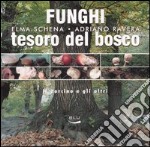 Funghi, tesoro del bosco. Il porcino e gli altri