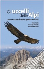 Gli uccelli delle Alpi. Come riconoscerli, dove e quando osservarli. Ediz. illustrata libro