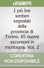 I più bei sentieri segnalati della provincia di Torino. 65 nuove escursioni in montagna. Vol. 2 libro