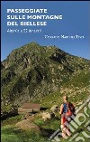 Passeggiate sulle montagne del biellese. Alta Via e 52 itinerari libro di Martiner Testa Corrado