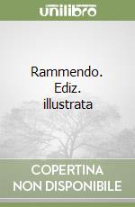 Rammendo. Ediz. illustrata