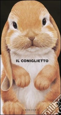 Il Coniglietto libro