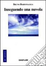 Inseguendo una nuvola libro