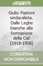 Giulio Pastore sindacalista. Dalle Leghe bianche alla formazione della Cisl (1918-1958) libro