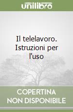 Il telelavoro. Istruzioni per l'uso libro