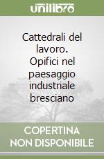 Cattedrali del lavoro. Opifici nel paesaggio industriale bresciano libro