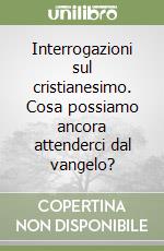 Interrogazioni sul cristianesimo. Cosa possiamo ancora attenderci dal vangelo? libro