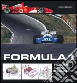 Formula 1. Evoluzione, tecnica, regolamento libro