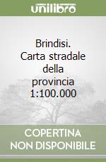 Brindisi. Carta stradale della provincia 1:100.000