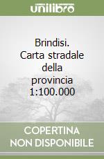 Brindisi. Carta stradale della provincia 1:100.000 libro