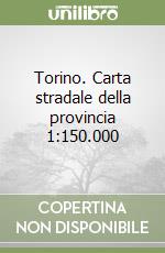 Torino. Carta stradale della provincia 1:150.000