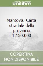 Mantova. Carta stradale della provincia 1:150.000