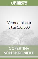 Verona pianta città 1:6.500 libro