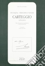 Carteggio (1878-1915). Tra filologia romanza e mediolatina libro