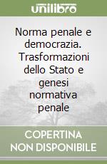 Norma penale e democrazia. Trasformazioni dello Stato e genesi normativa penale libro