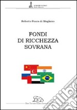 Fondi di ricchezza sovrana libro