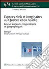 Espaces réels et imaginaires au Québec et en Acadie. Enjeux culturels, linguistiques et géographiques libro