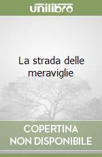 La strada delle meraviglie libro